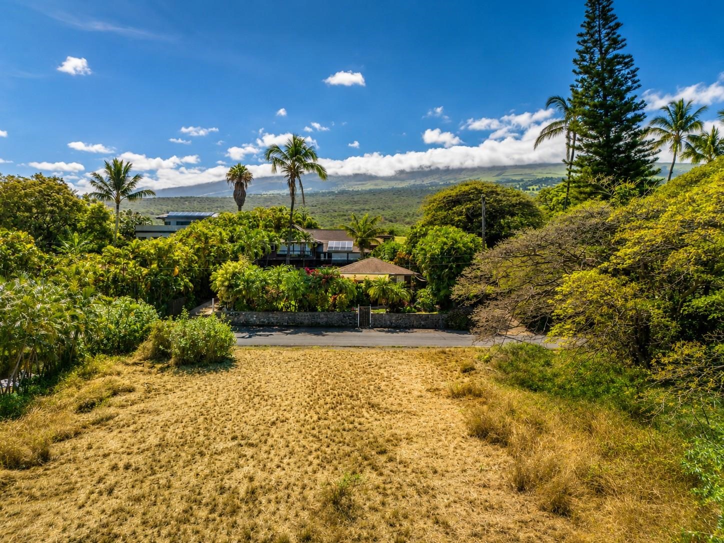 769 Kumulani Dr   - photo 4 of 7