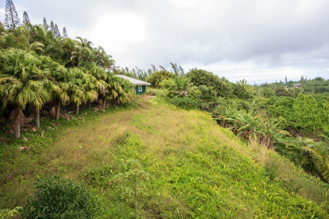 77  Door Of Faith Rd Door Of Faith, Haiku home - photo 21 of 24