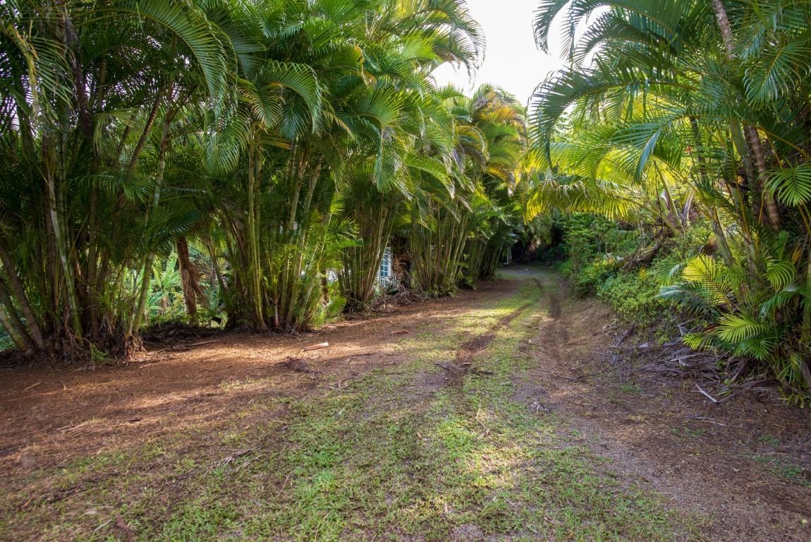 77  Door Of Faith Rd Door Of Faith, Haiku home - photo 22 of 24