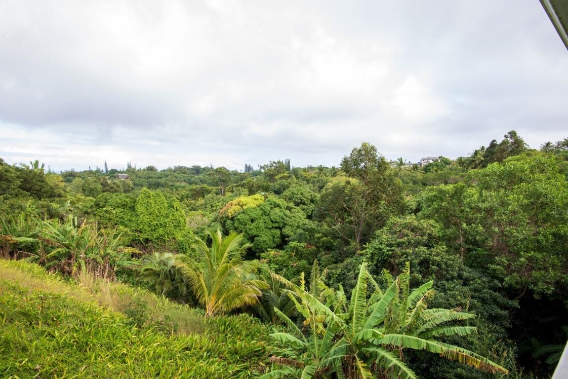 77  Door Of Faith Rd Door Of Faith, Haiku home - photo 9 of 24