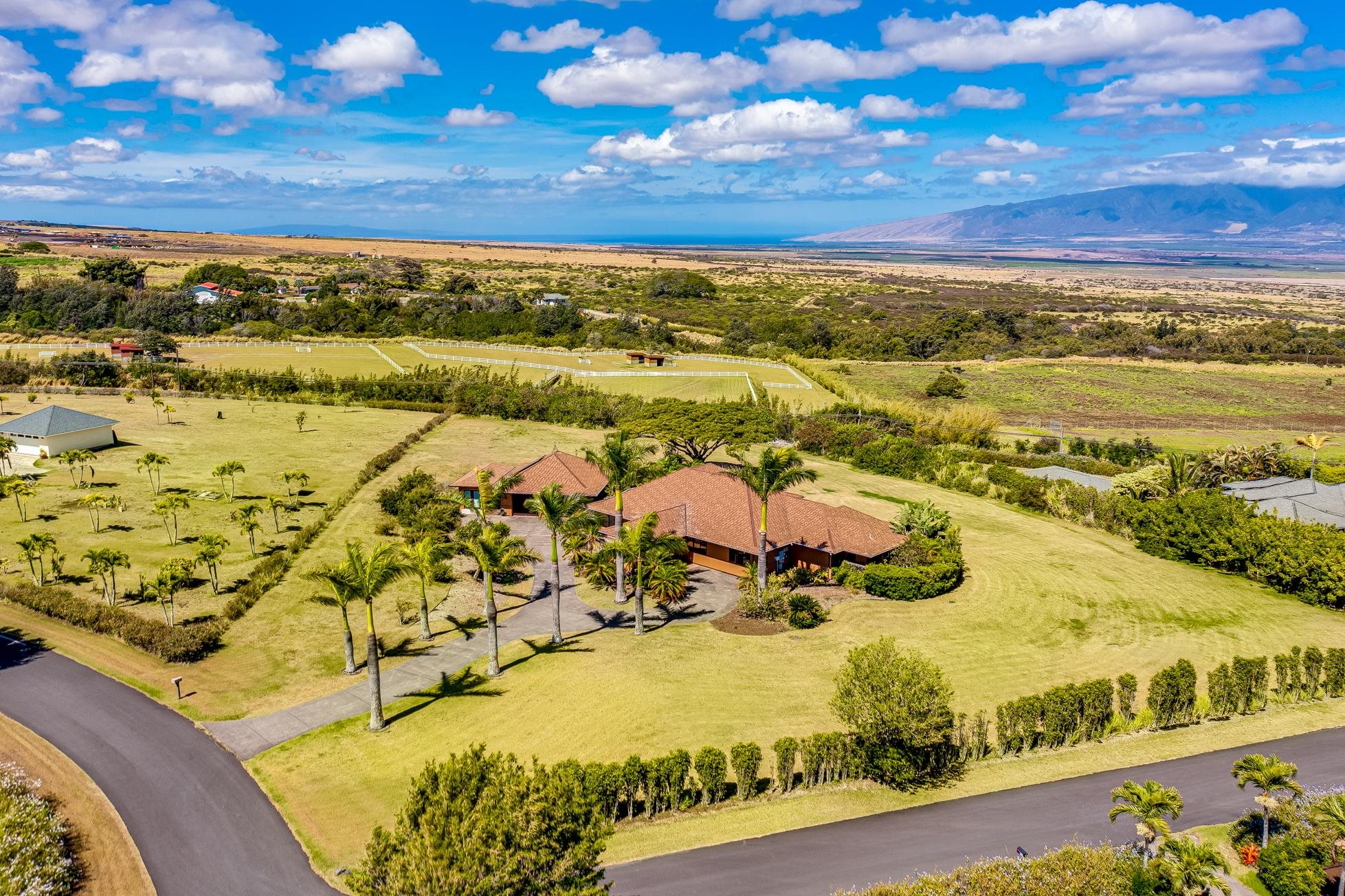 77  Ohaoha Pl Maunaolu, Makawao/Olinda/Haliimaile home - photo 19 of 43