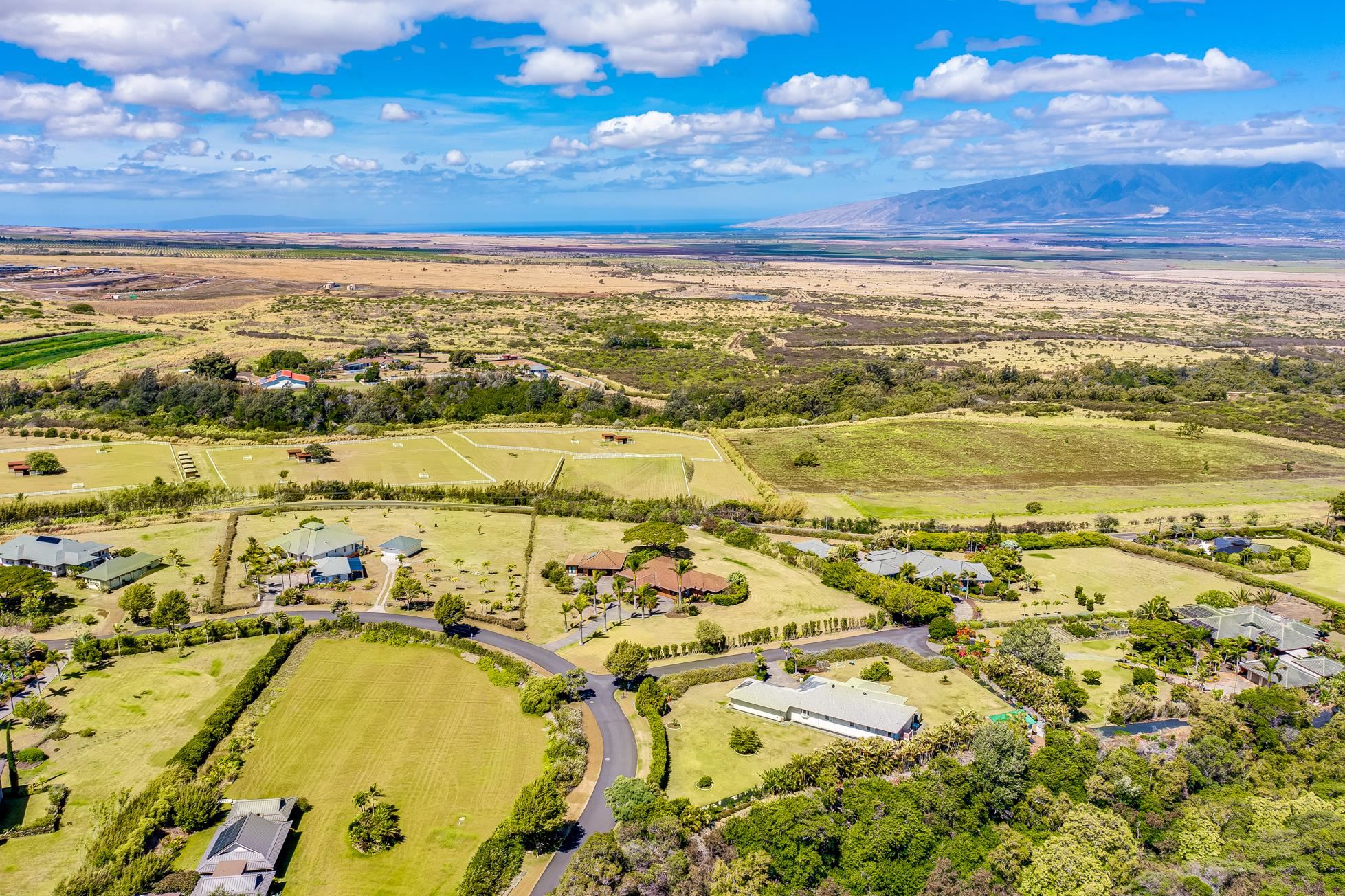 77  Ohaoha Pl Maunaolu, Makawao/Olinda/Haliimaile home - photo 41 of 43
