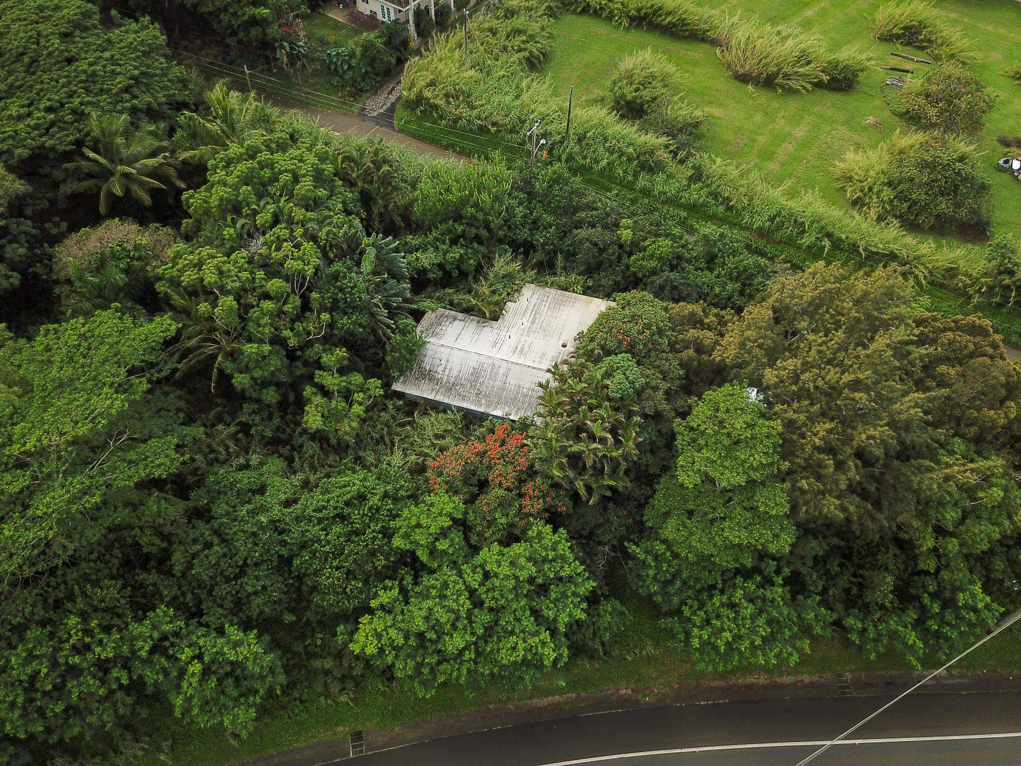 77  Peahi Rd , Haiku home - photo 45 of 47