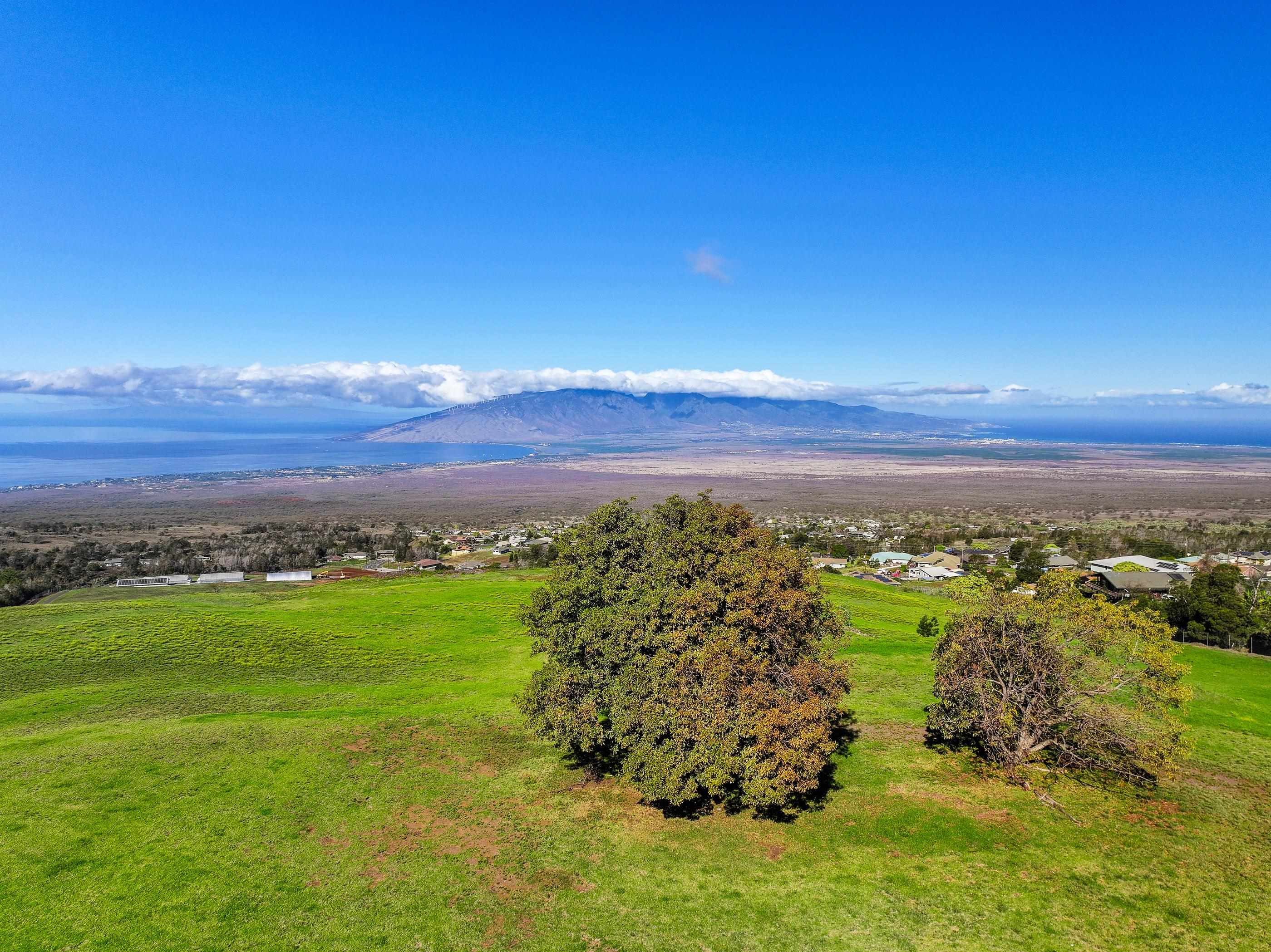 7700  Kula Hwy , Kula/Ulupalakua/Kanaio home - photo 26 of 32