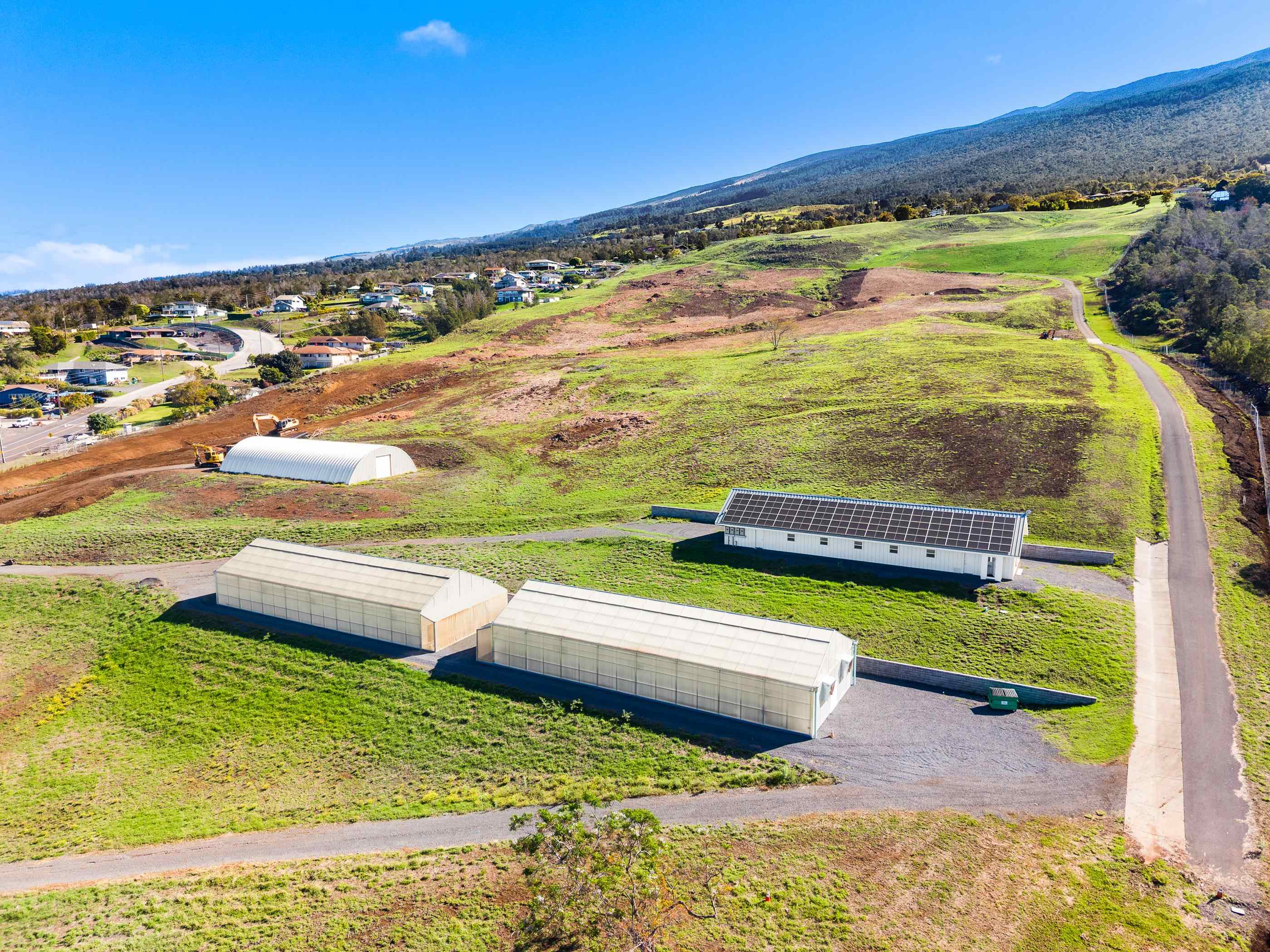 7700  Kula Hwy , Kula/Ulupalakua/Kanaio home - photo 5 of 32