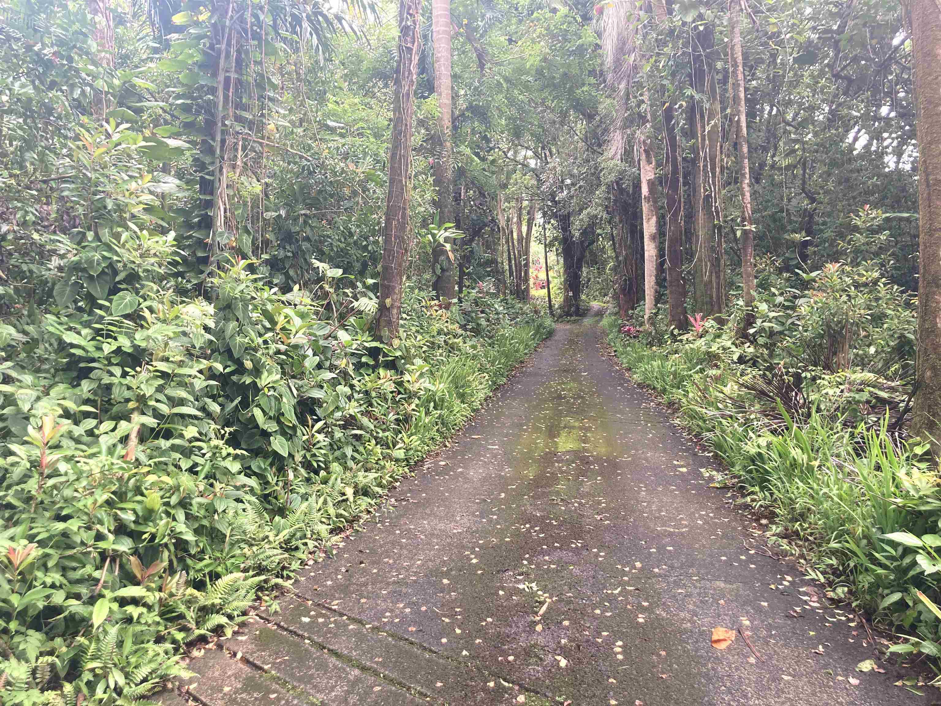 772 Nahiku Rd  Hana, Hi vacant land for sale - photo 3 of 31