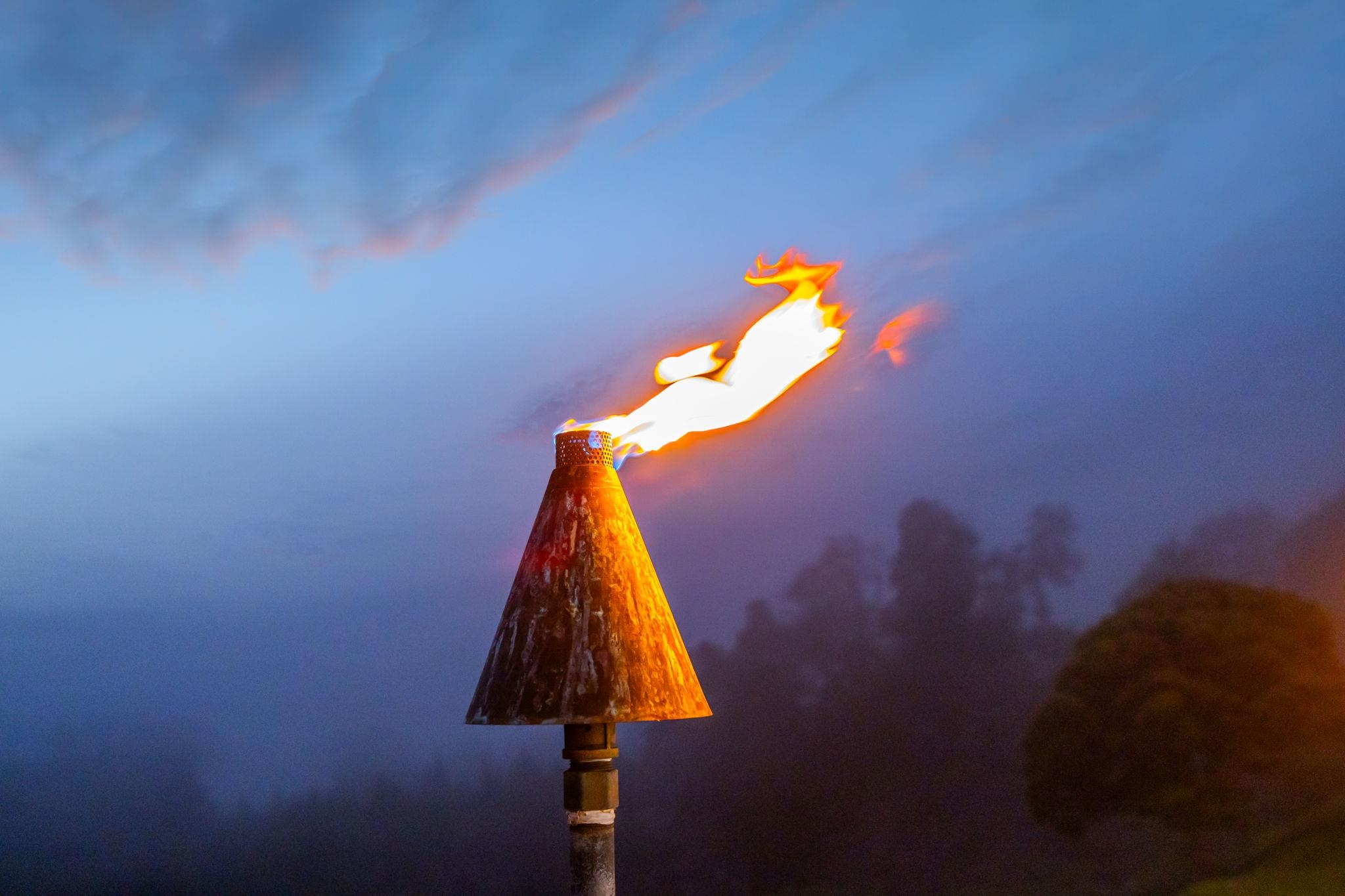 7733  Kula Hwy Keokea, Kula/Ulupalakua/Kanaio home - photo 19 of 43