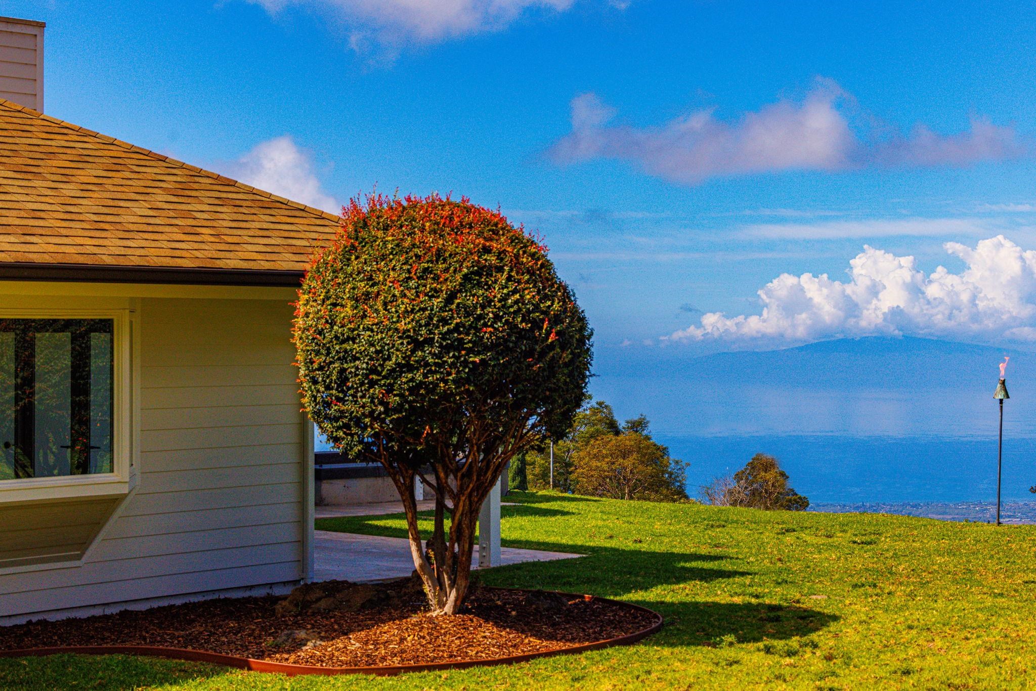 7733  Kula Hwy Keokea, Kula/Ulupalakua/Kanaio home - photo 38 of 43