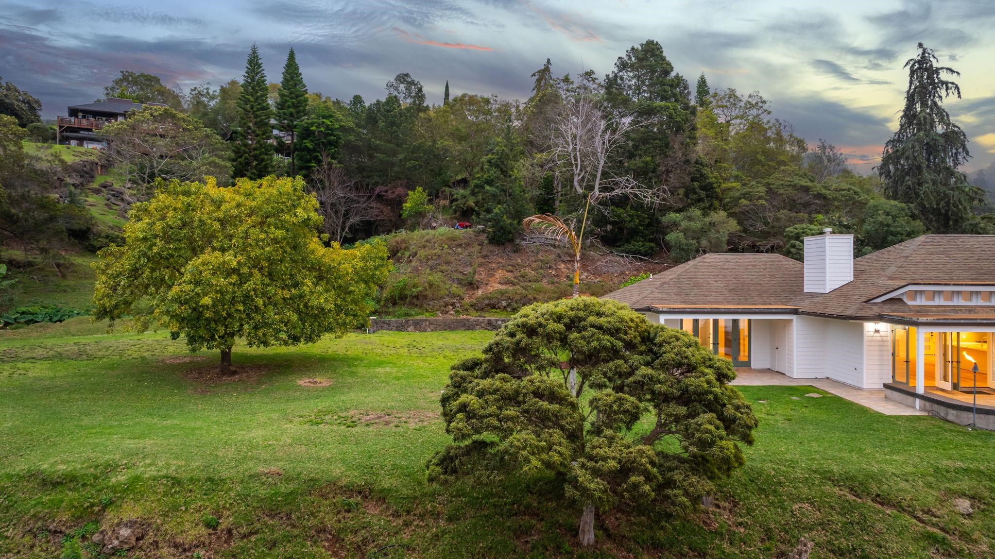 7733  Kula Hwy Keokea, Kula/Ulupalakua/Kanaio home - photo 39 of 43