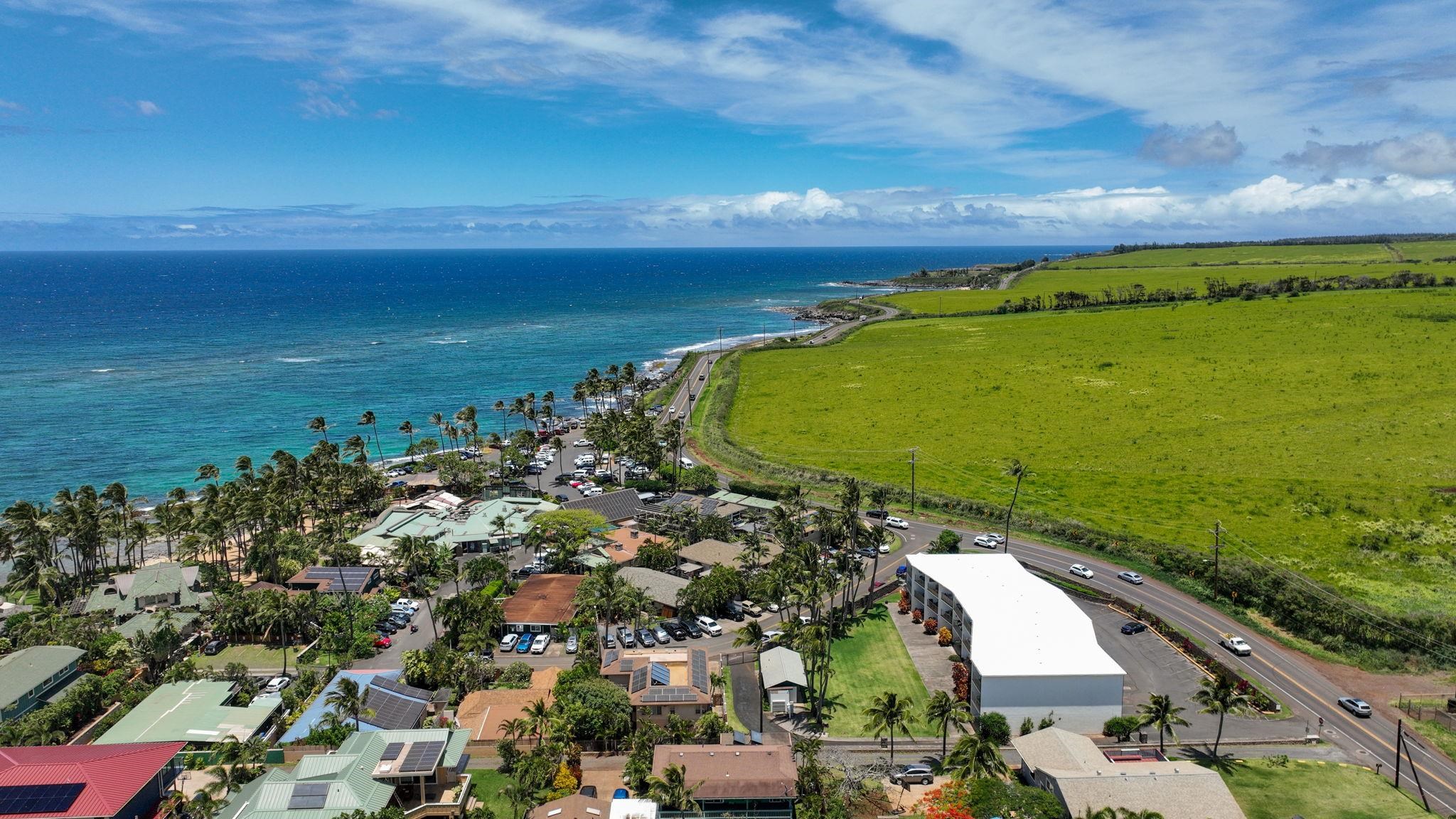 Kuau Plaza condo # 103, Paia, Hawaii - photo 39 of 50