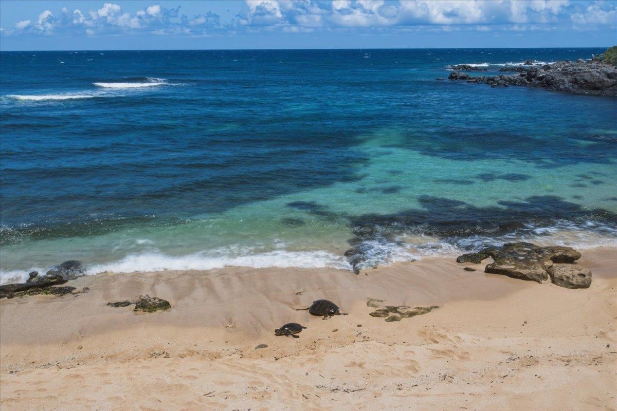 Kuau Plaza condo # 207, Paia, Hawaii - photo 30 of 50