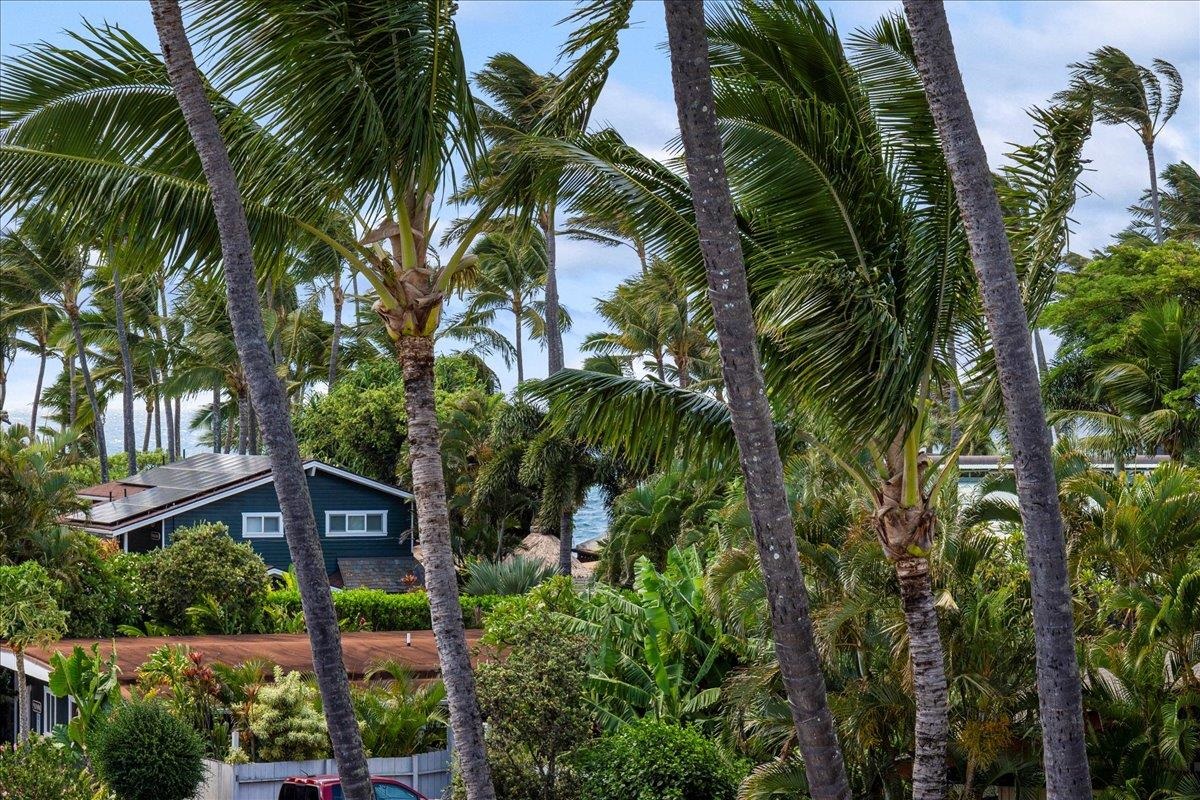 Kuau Plaza condo # 304, Paia, Hawaii - photo 18 of 27