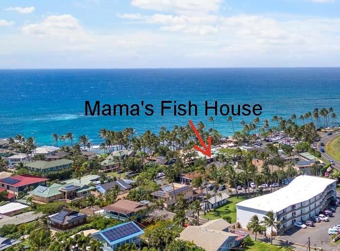 Kuau Plaza condo # 304, Paia, Hawaii - photo 26 of 27