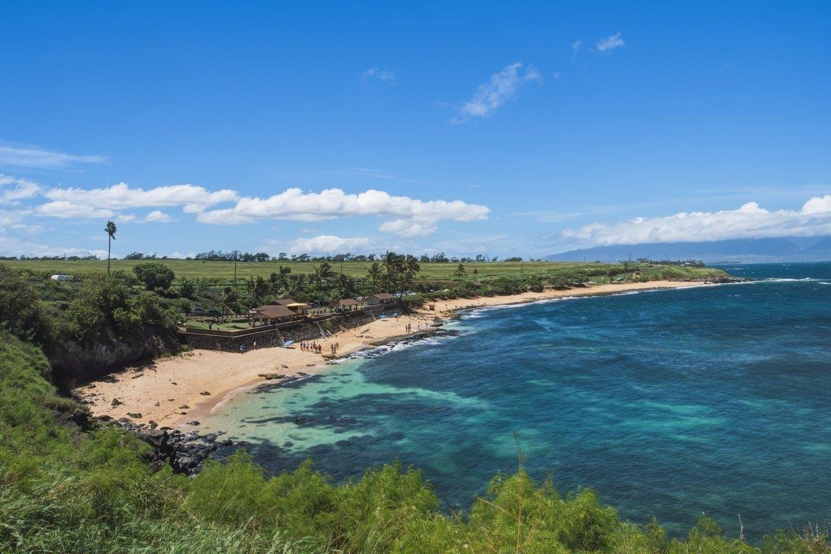 Kuau Plaza condo # 308, Paia, Hawaii - photo 41 of 42
