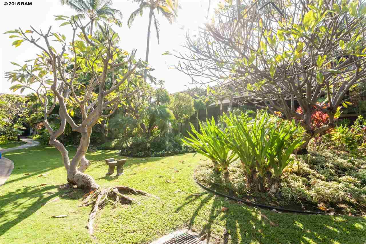 Kihei Resort condo # 119, Kihei, Hawaii - photo 28 of 30