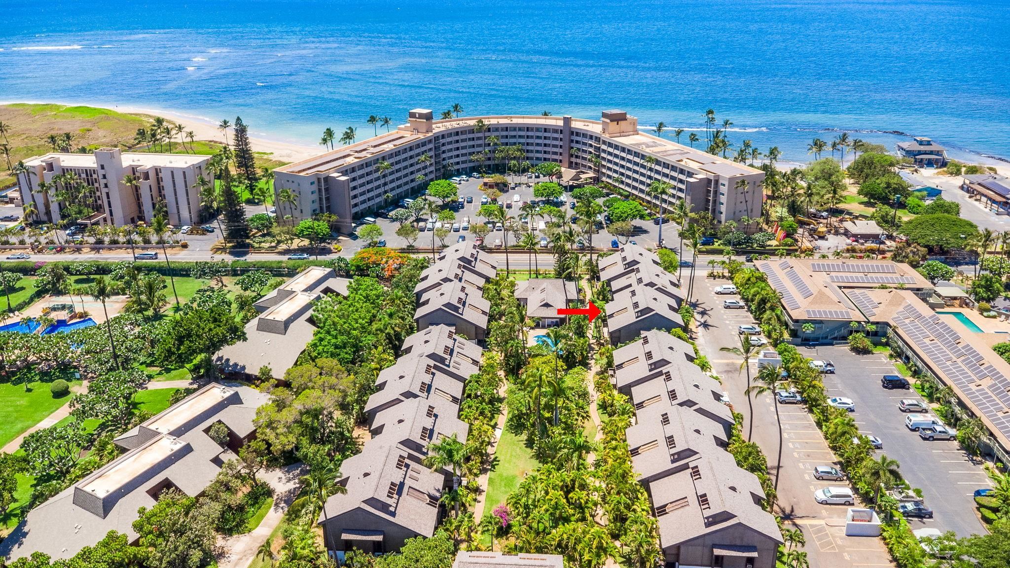 Kihei Resort condo # 105, Kihei, Hawaii - photo 2 of 26