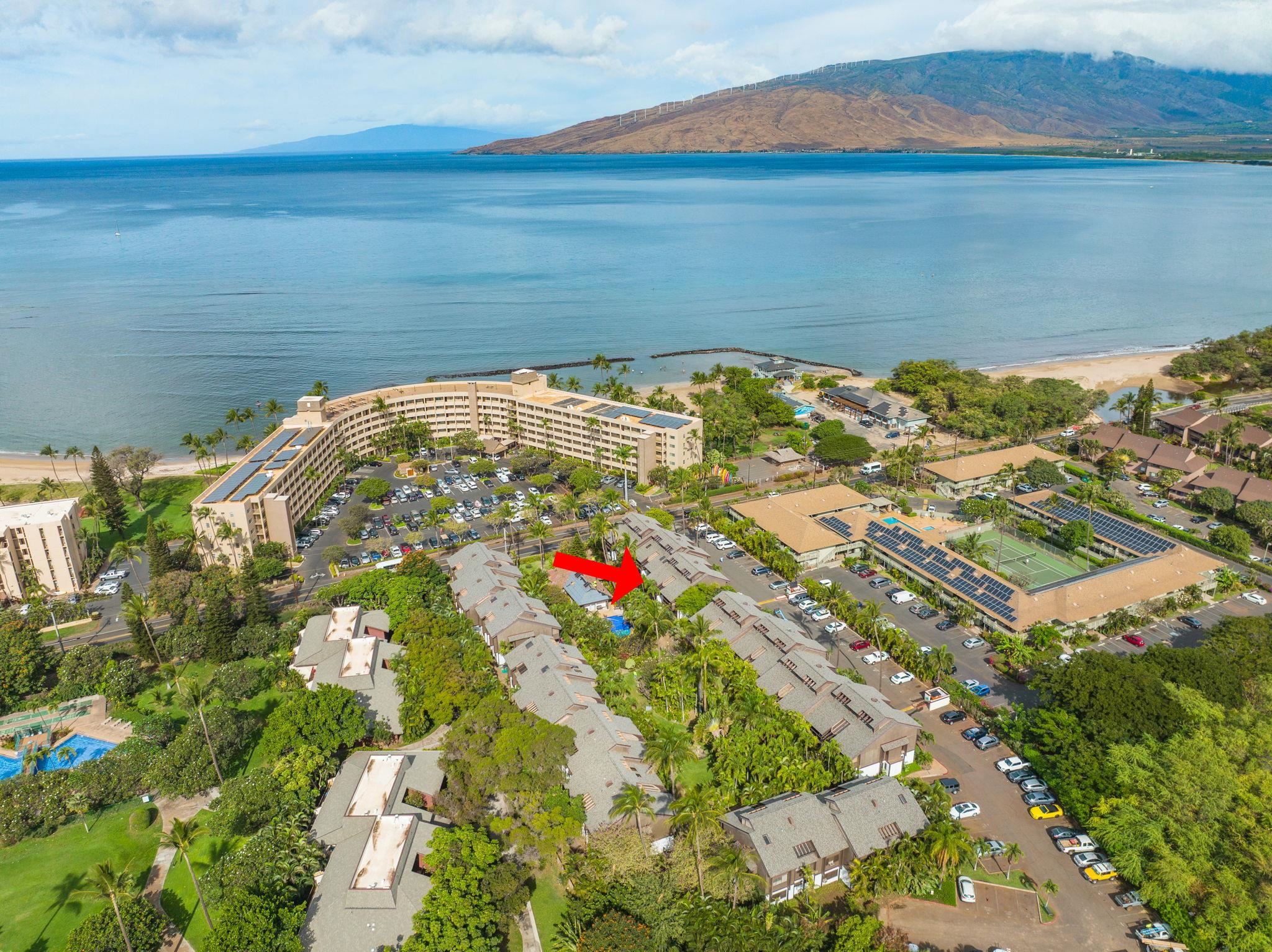 Kihei Resort condo # 105, Kihei, Hawaii - photo 14 of 26