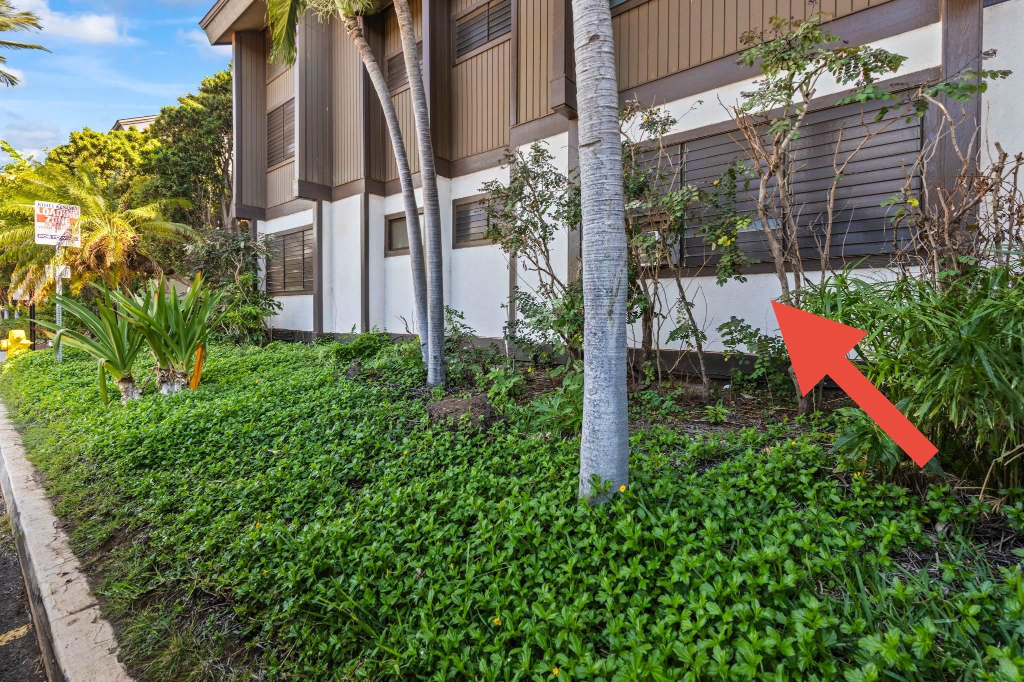 Kihei Resort condo # 105, Kihei, Hawaii - photo 17 of 26