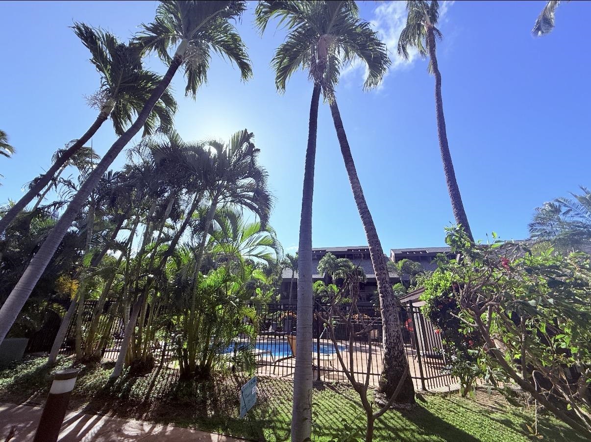Kihei Resort condo # 105, Kihei, Hawaii - photo 8 of 27
