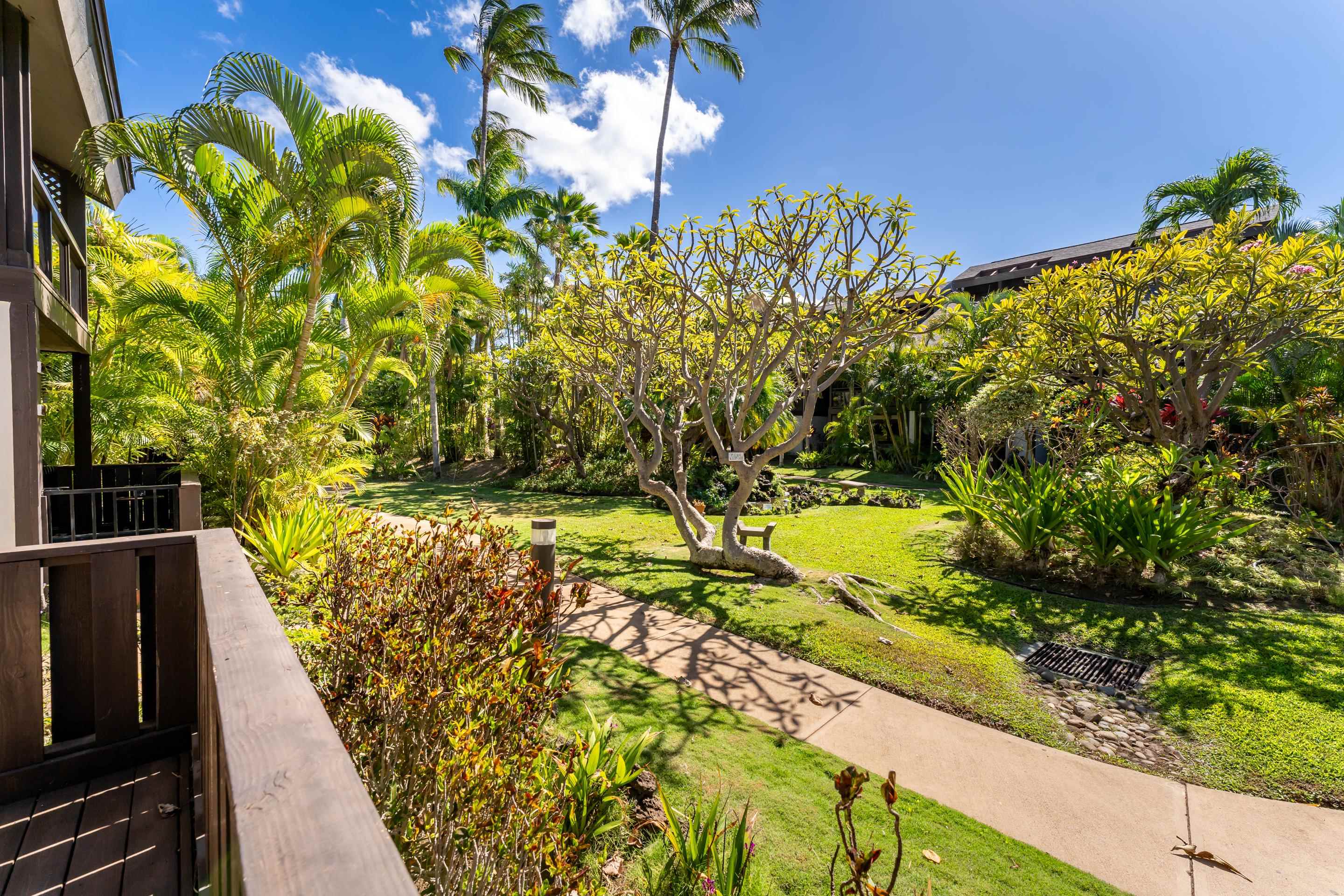 Kihei Resort condo # 107a, Kihei, Hawaii - photo 4 of 38