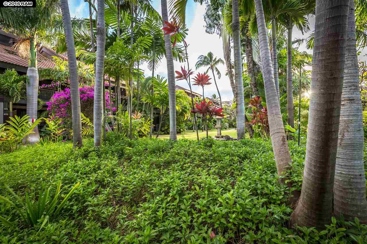 Kihei Resort condo # 222, Kihei, Hawaii - photo 20 of 23