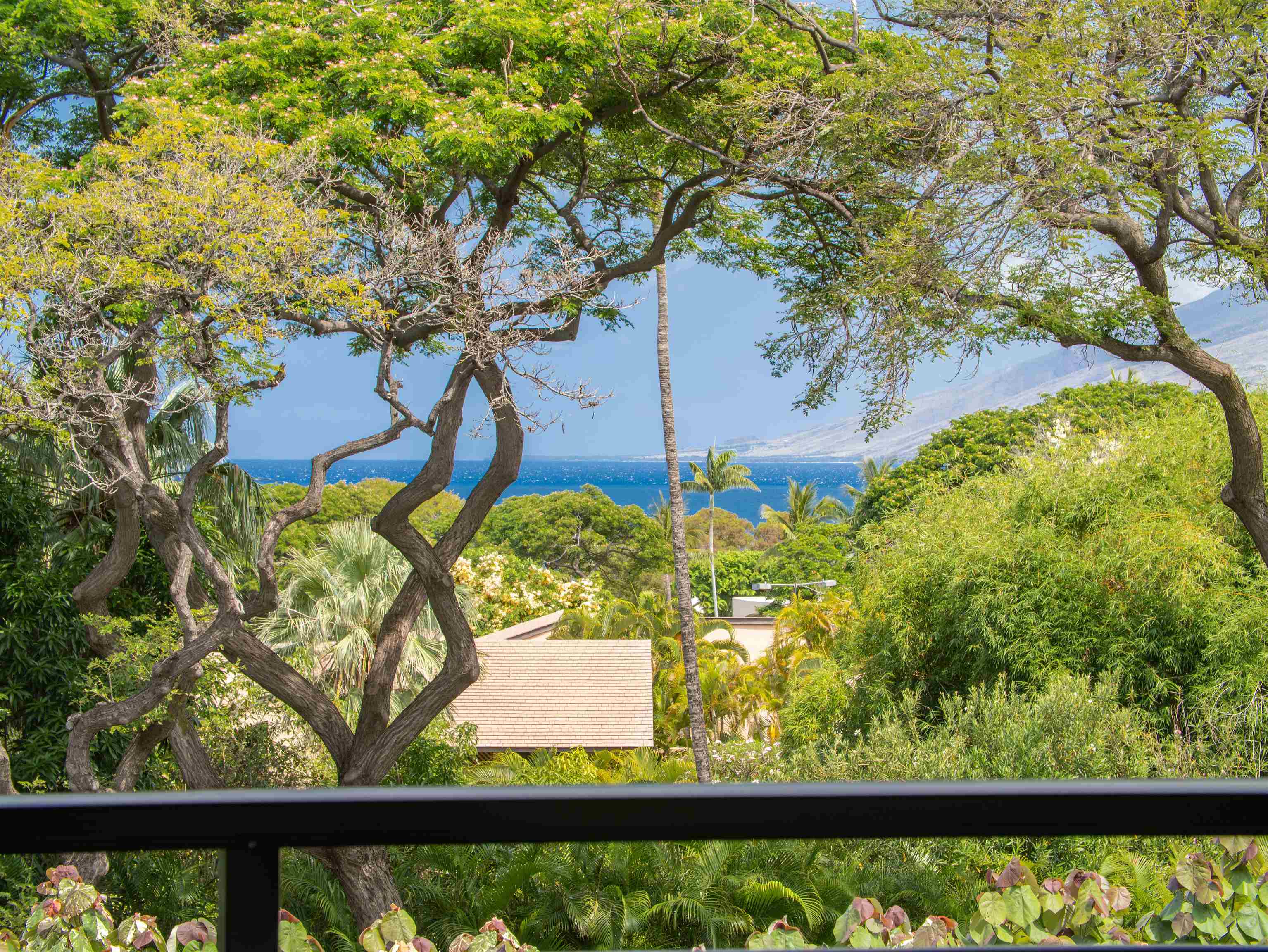 La'i Loa condo # 101 (14A), Kihei, Hawaii - photo 19 of 50