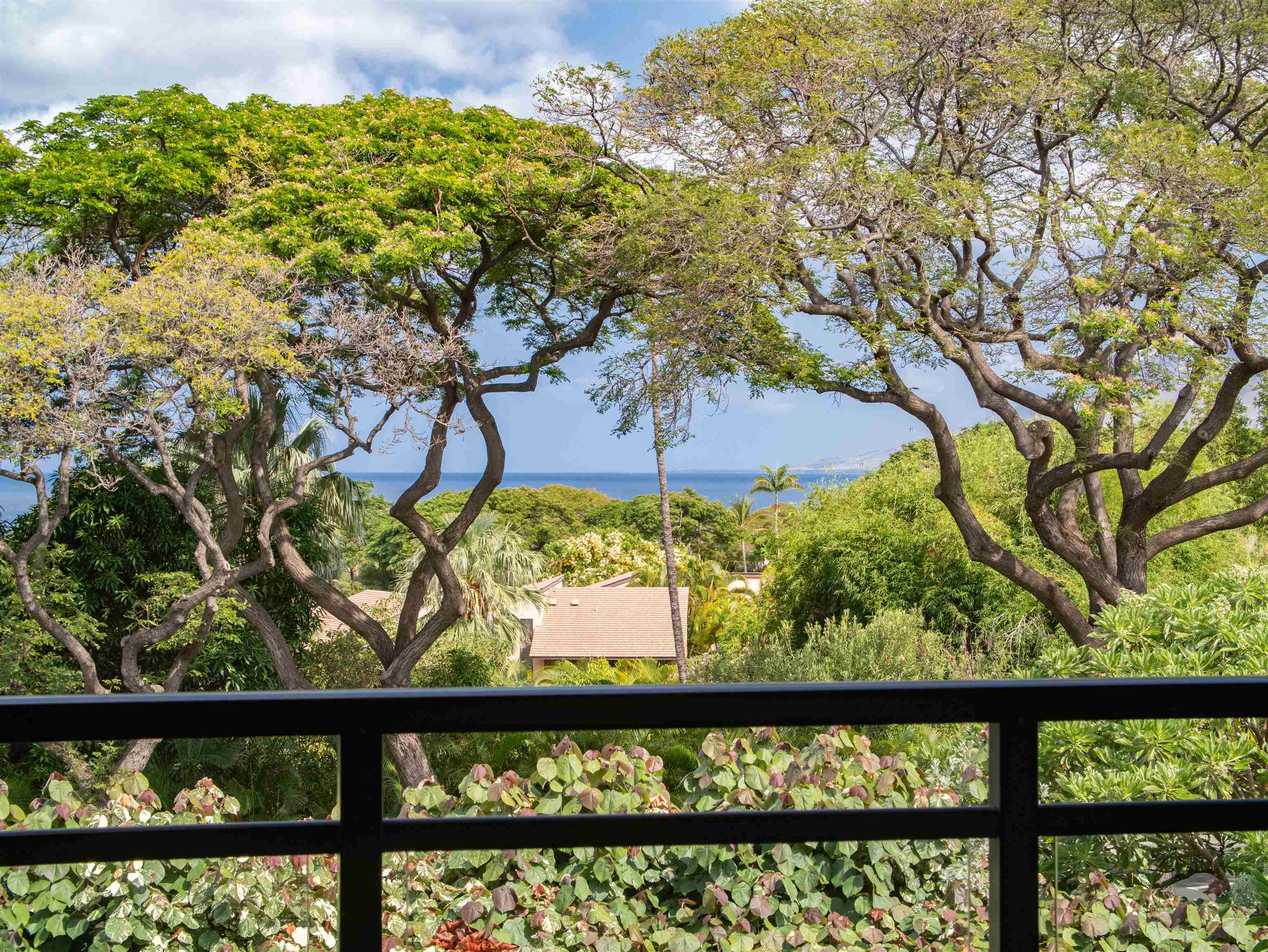 La'i Loa condo # 101 (14A), Kihei, Hawaii - photo 28 of 50
