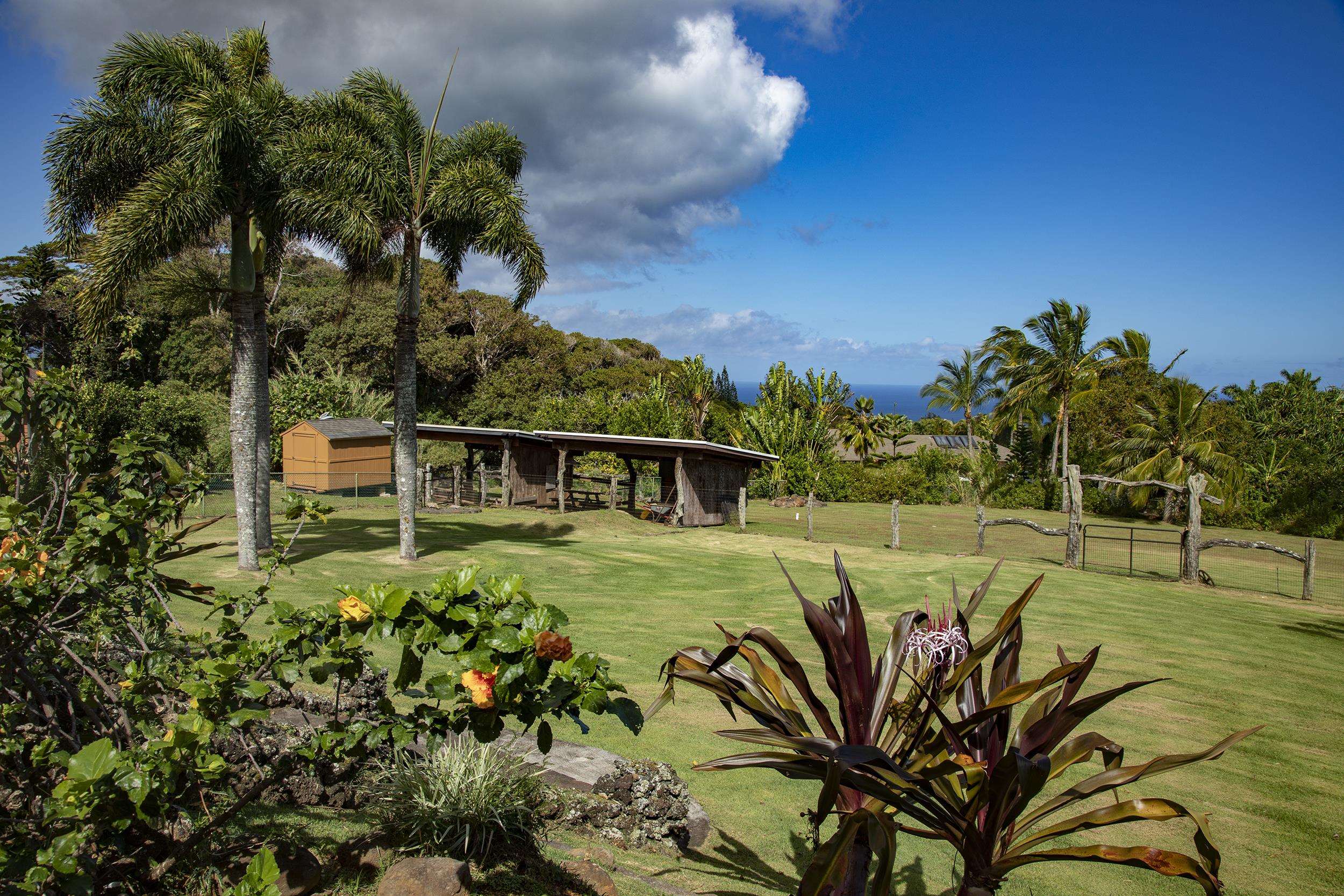 785  Kuiaha Rd West Kuiaha Meadows, Haiku home - photo 35 of 50