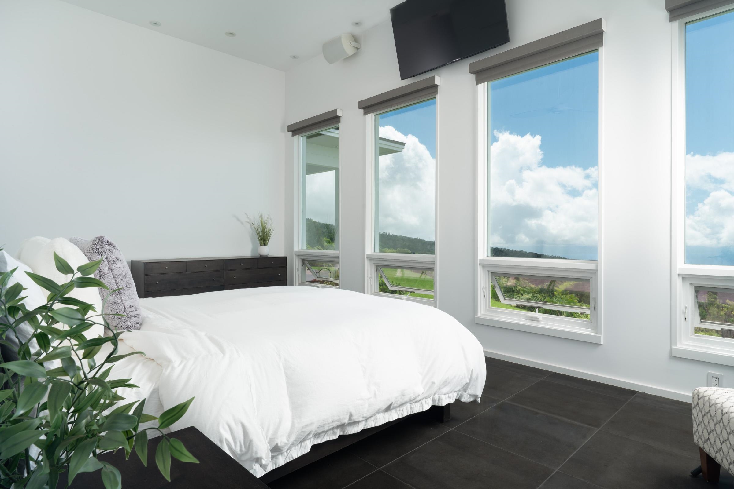 7850  Kula Hwy , Kula/Ulupalakua/Kanaio home - photo 13 of 35