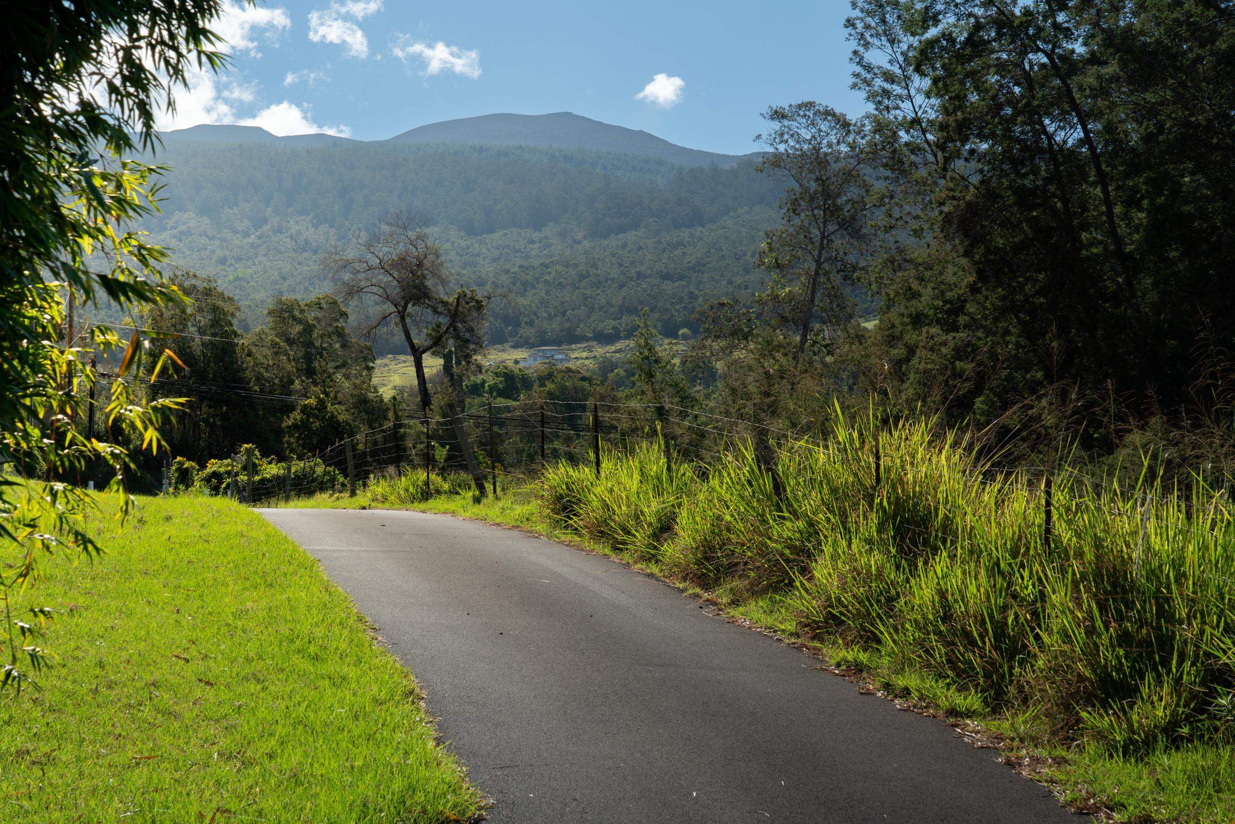 7850  Kula Hwy , Kula/Ulupalakua/Kanaio home - photo 26 of 35