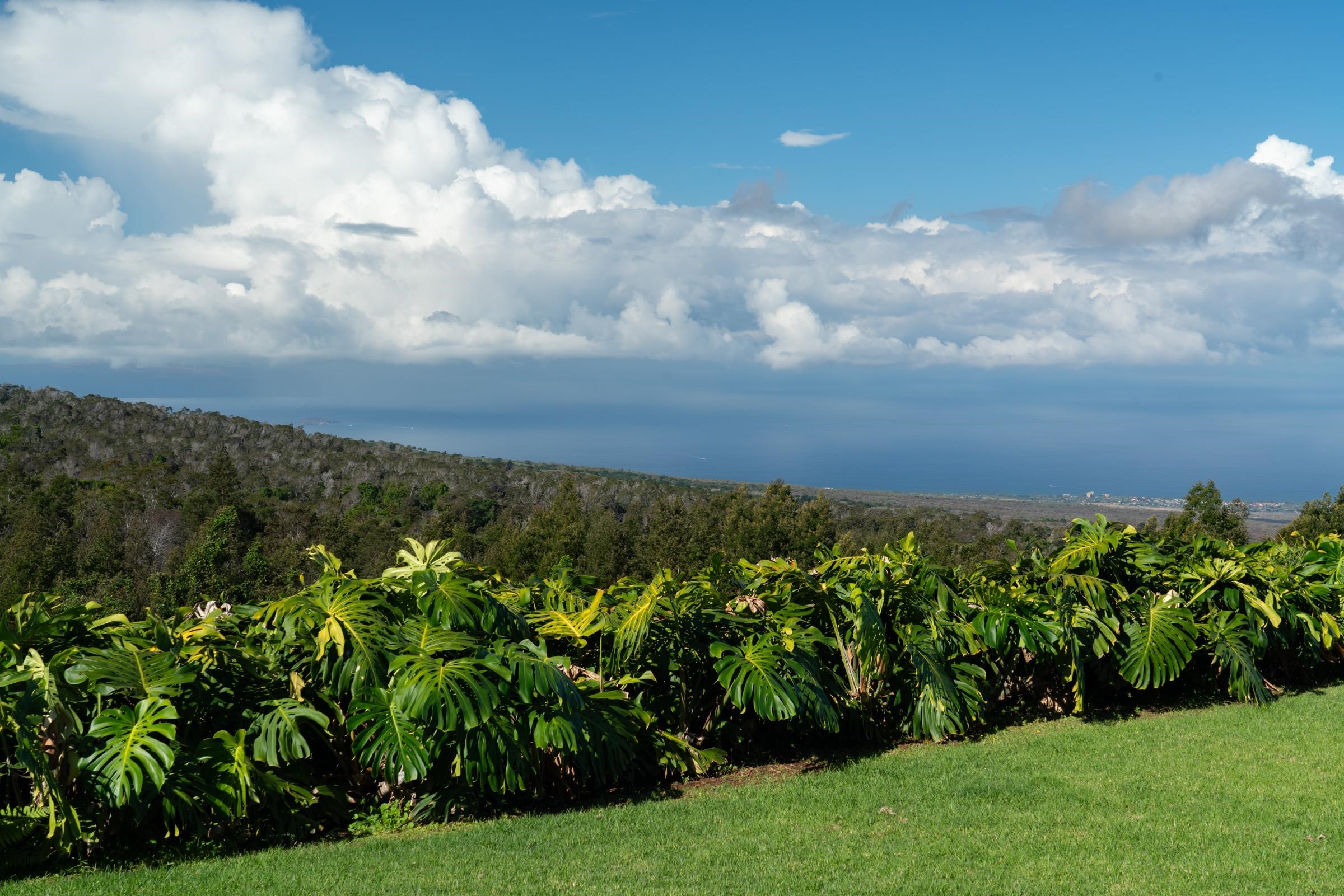 7850  Kula Hwy , Kula/Ulupalakua/Kanaio home - photo 28 of 35