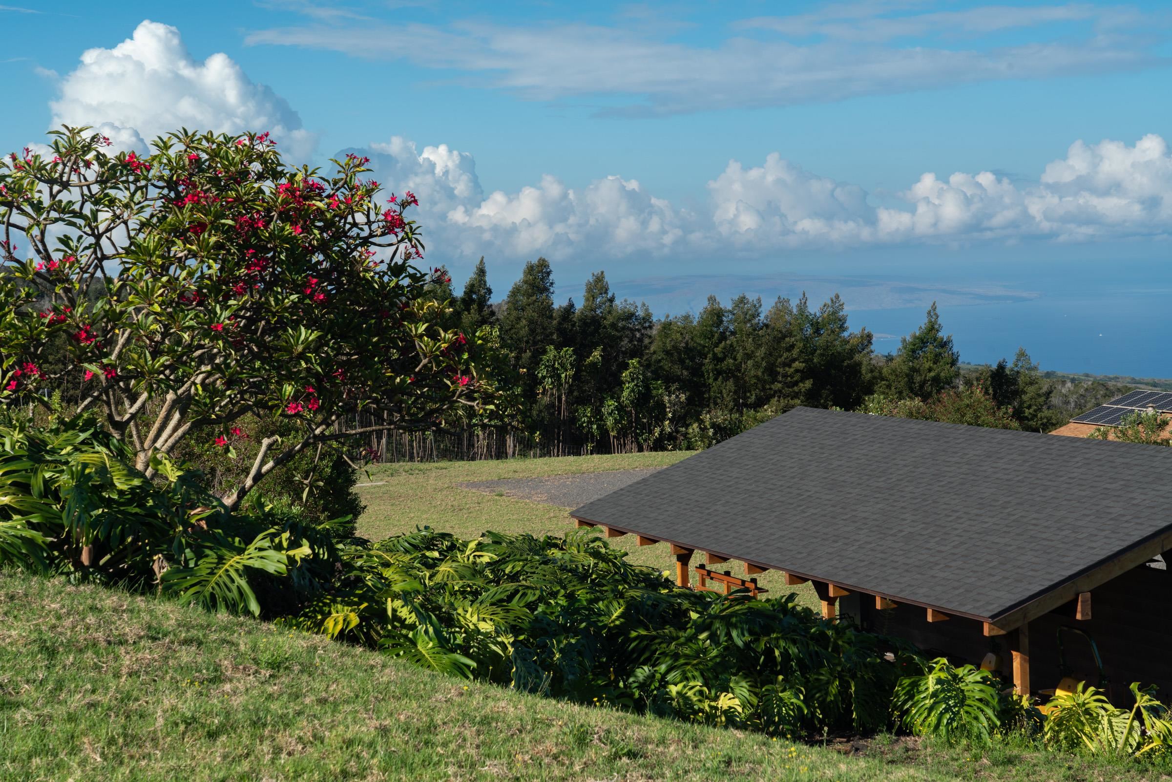 7850  Kula Hwy , Kula/Ulupalakua/Kanaio home - photo 29 of 35