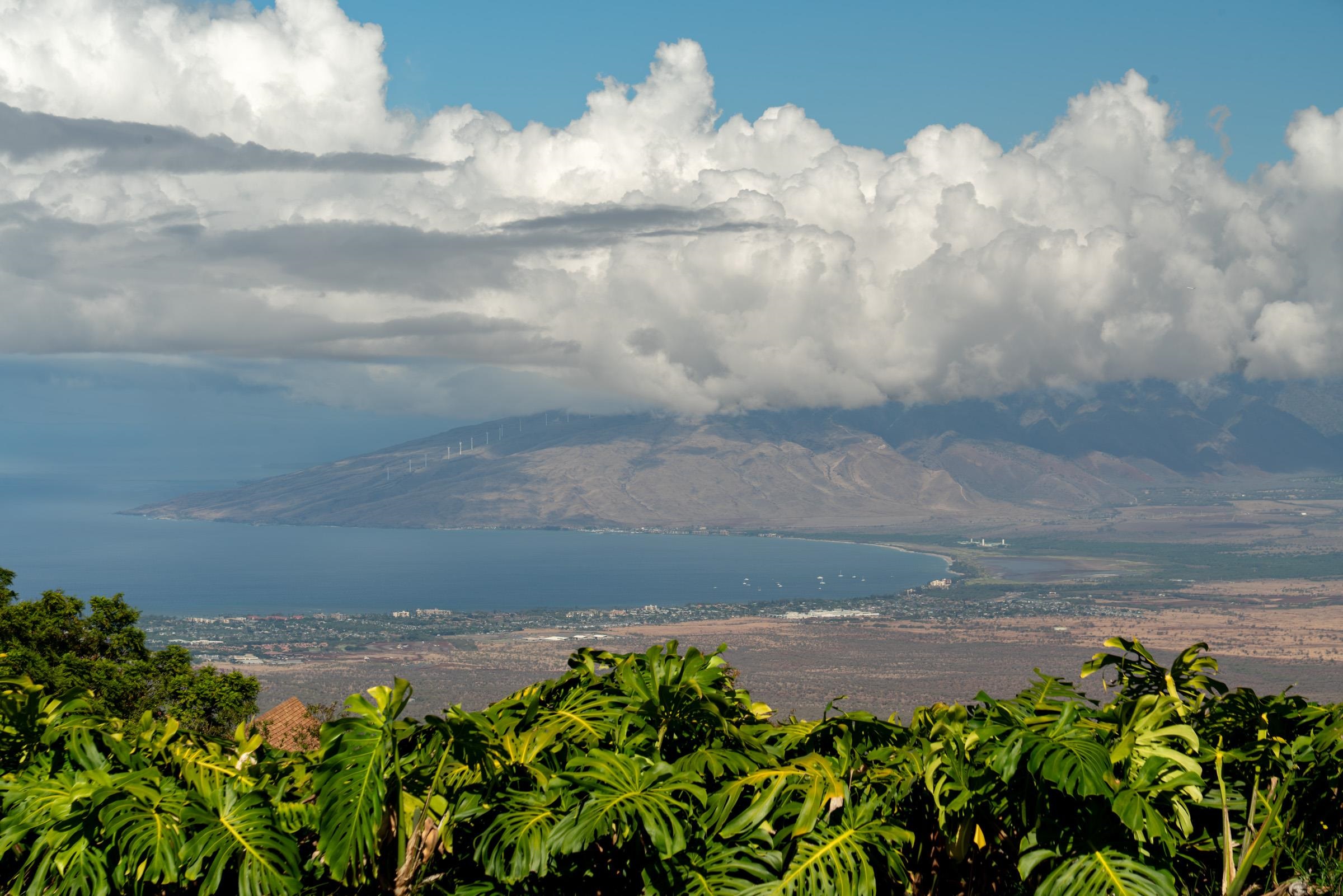 7850  Kula Hwy , Kula/Ulupalakua/Kanaio home - photo 8 of 35