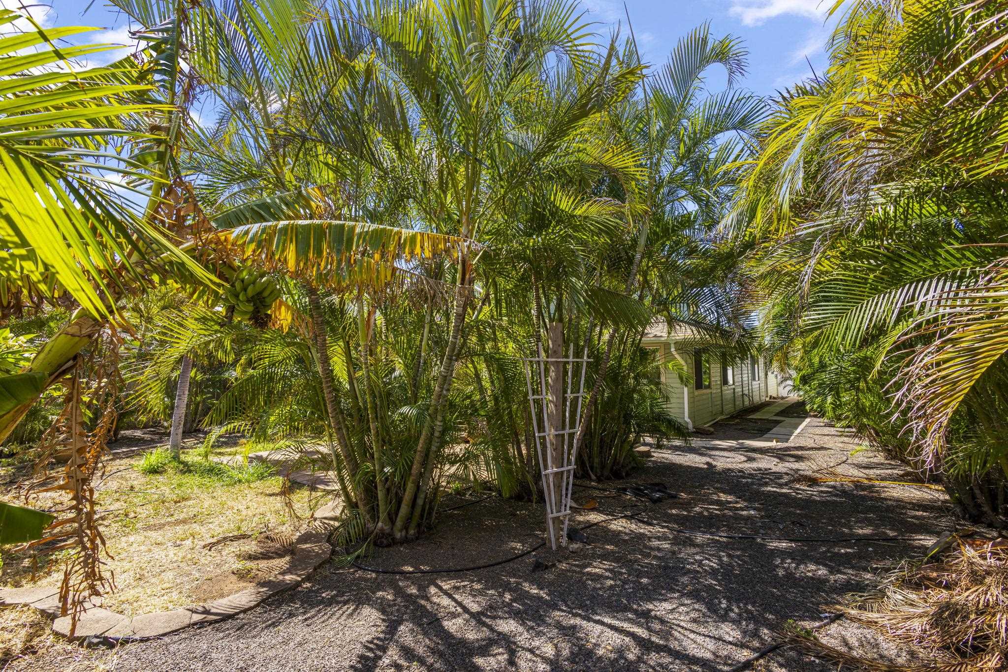 798  Mahealani Pl North Kihei, Kihei home - photo 44 of 50