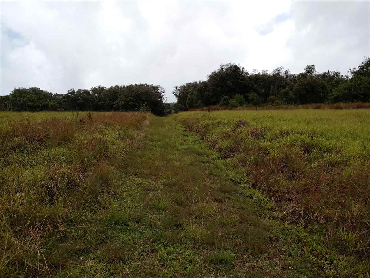 #8 Awalau Rd Phillips Subdivision #8 Haiku, Hi vacant land for sale - photo 7 of 12