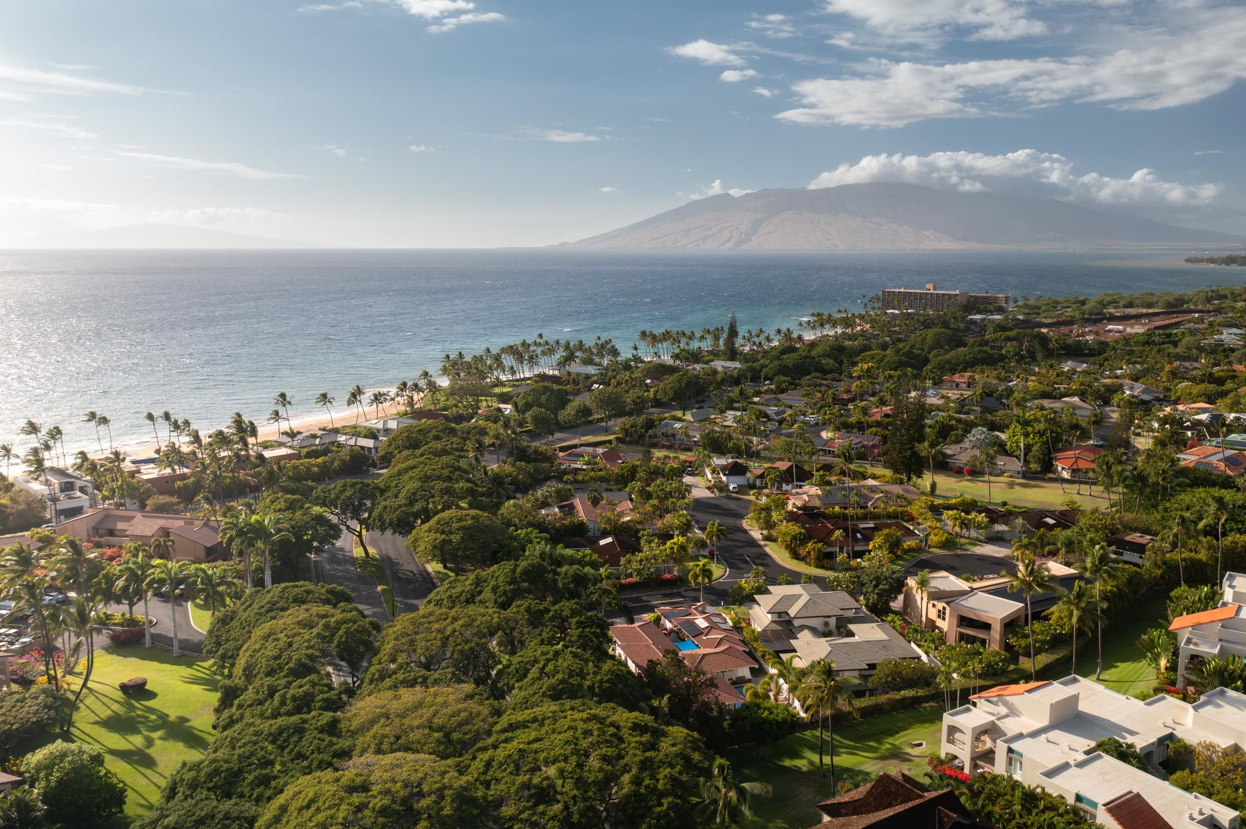8  Manu Ihu Pl Wailea, Wailea/Makena home - photo 4 of 50