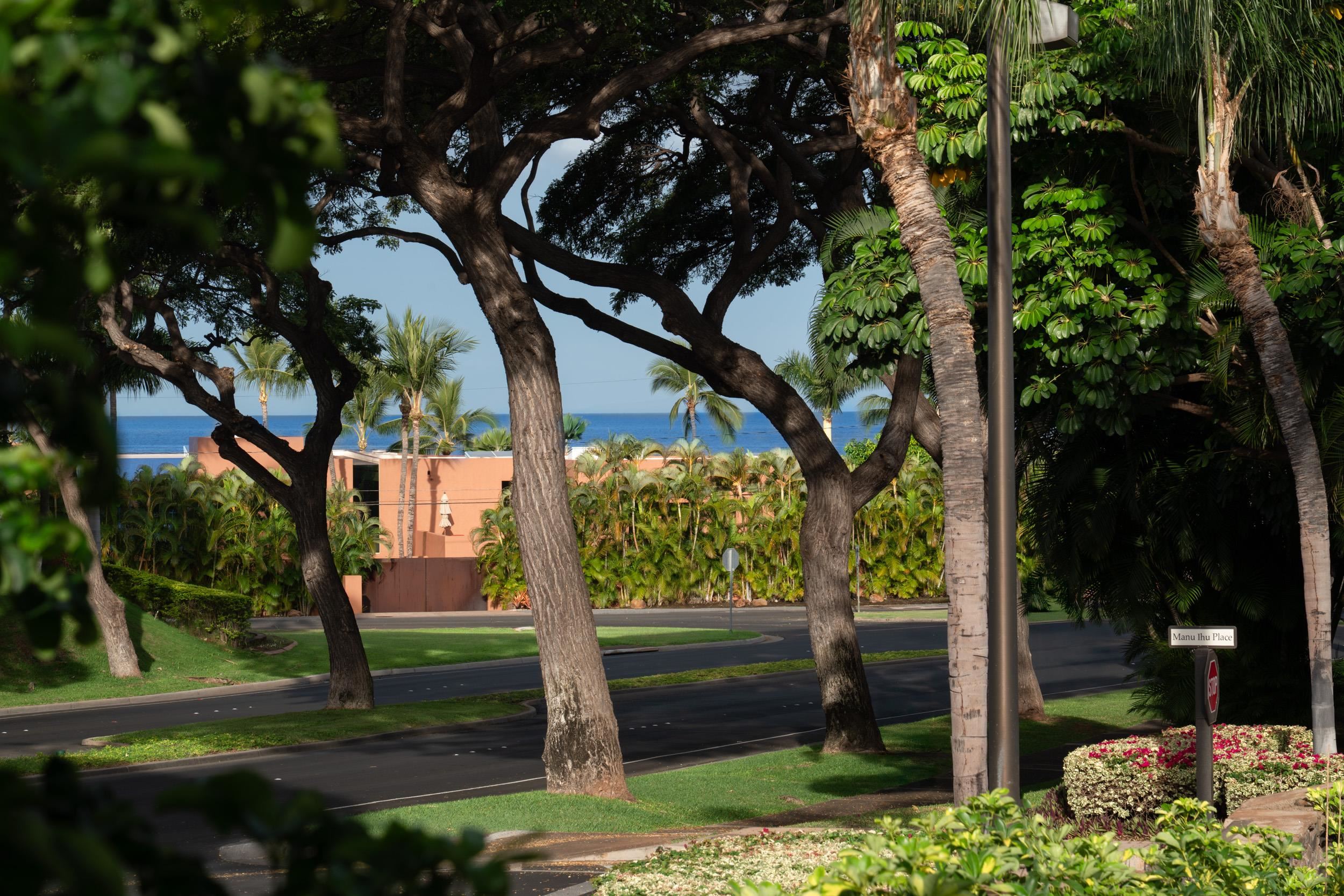 8  Manu Ihu Pl Wailea, Wailea/Makena home - photo 49 of 50