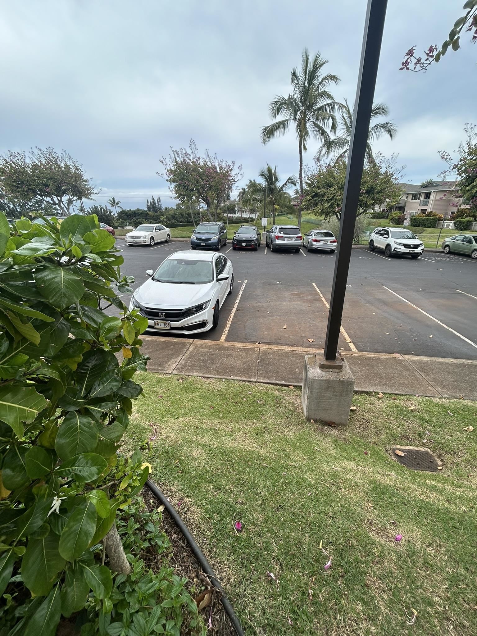 Napili Villas condo # 1, Lahaina, Hawaii - photo 22 of 23