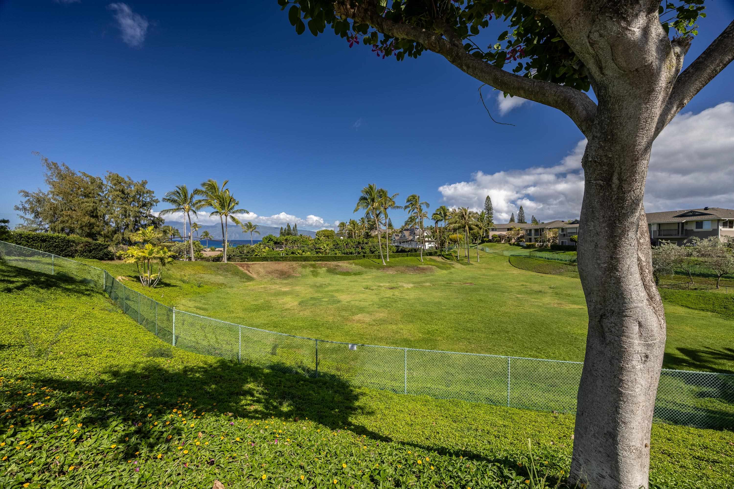 Napili Villas condo # 1-3, Lahaina, Hawaii - photo 17 of 18