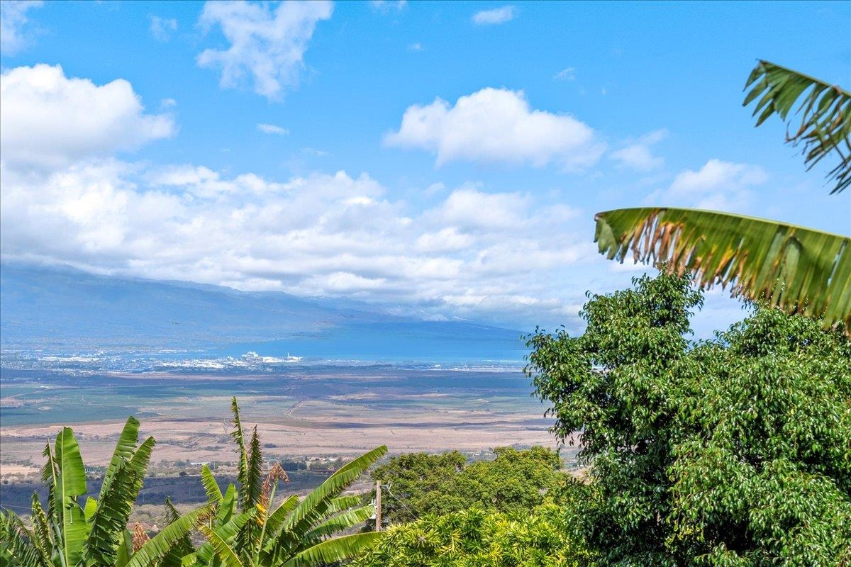 80  Kai Nana Pl , Kula/Ulupalakua/Kanaio home - photo 29 of 39