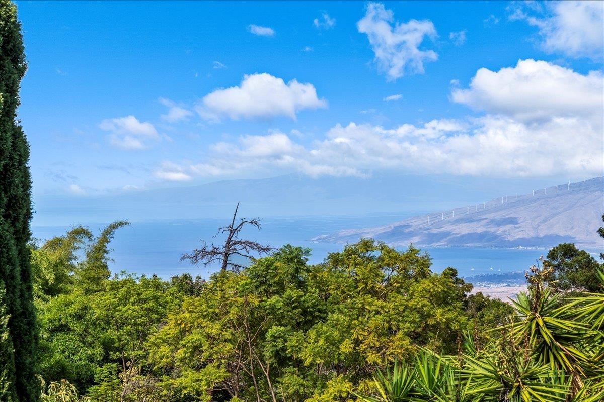 80  Kai Nana Pl , Kula/Ulupalakua/Kanaio home - photo 30 of 39