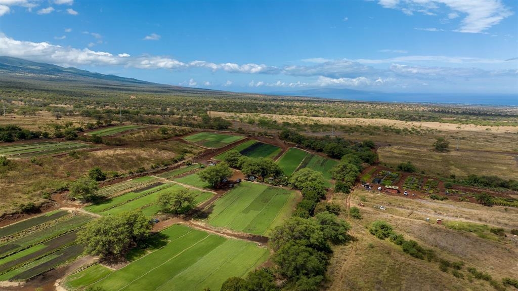 80 Opalipali Pl  Kula, Hi vacant land for sale - photo 11 of 12