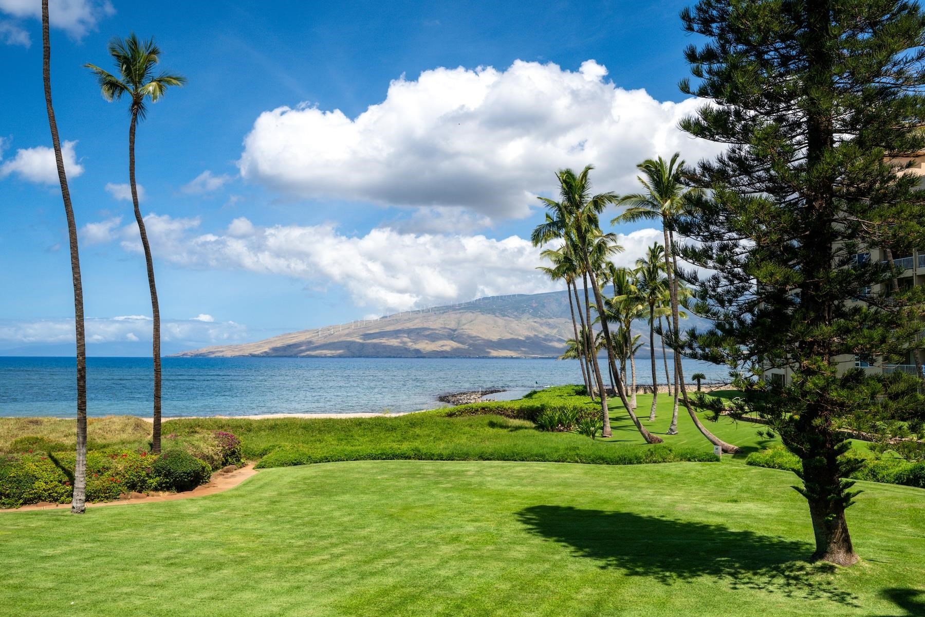 Koa Lagoon condo # 206, Kihei, Hawaii - photo 18 of 29