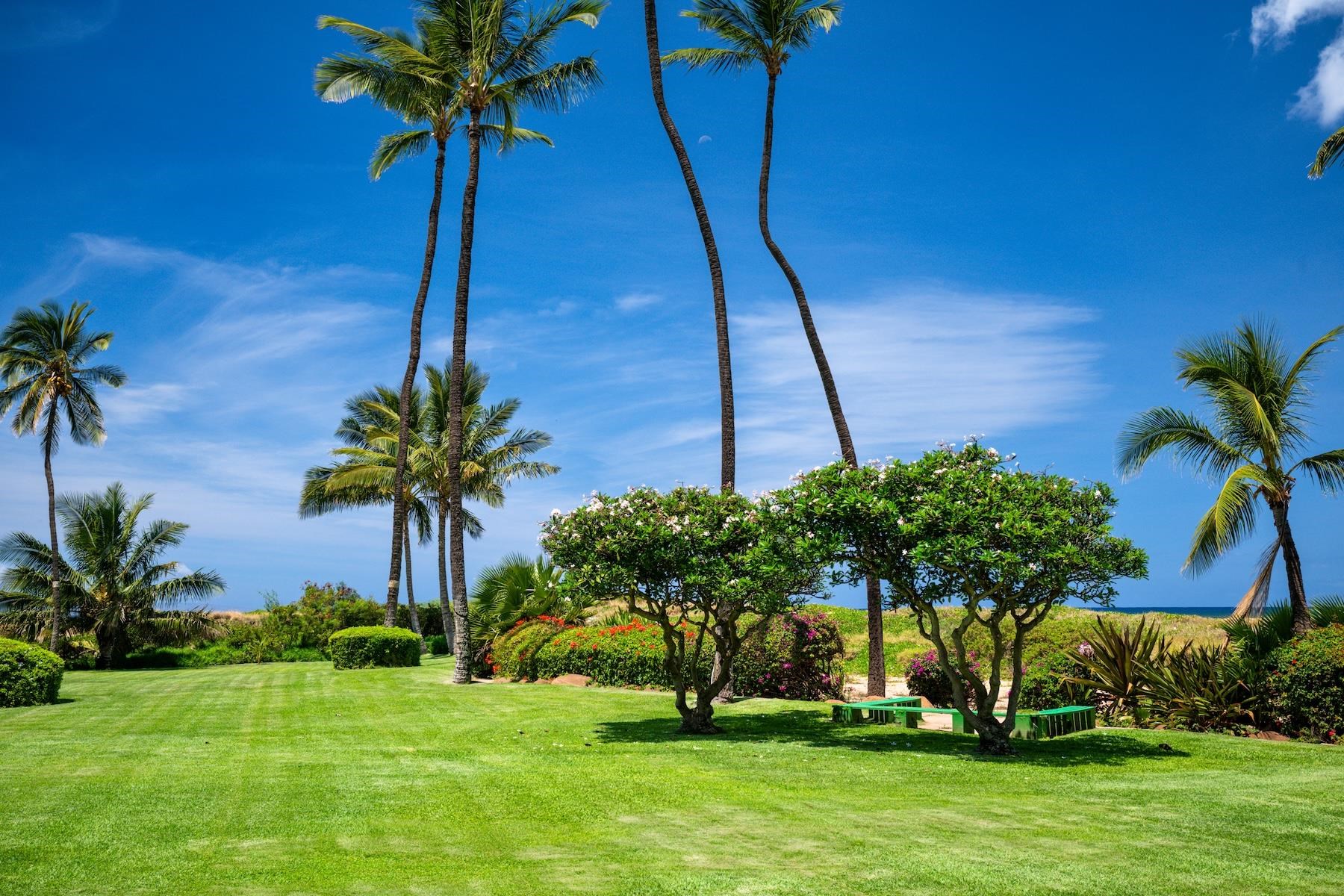 Koa Lagoon condo # 206, Kihei, Hawaii - photo 19 of 29