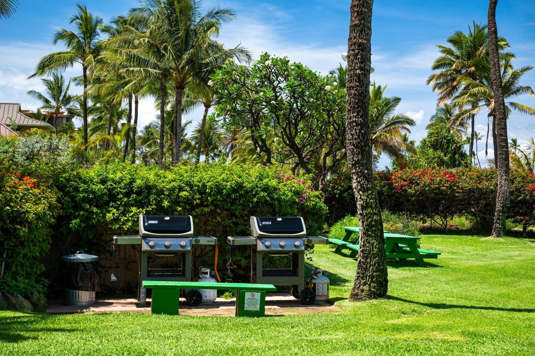 Koa Lagoon condo # 206, Kihei, Hawaii - photo 20 of 29