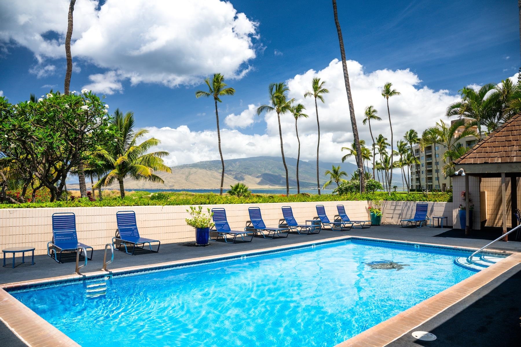 Koa Lagoon condo # 206, Kihei, Hawaii - photo 21 of 29