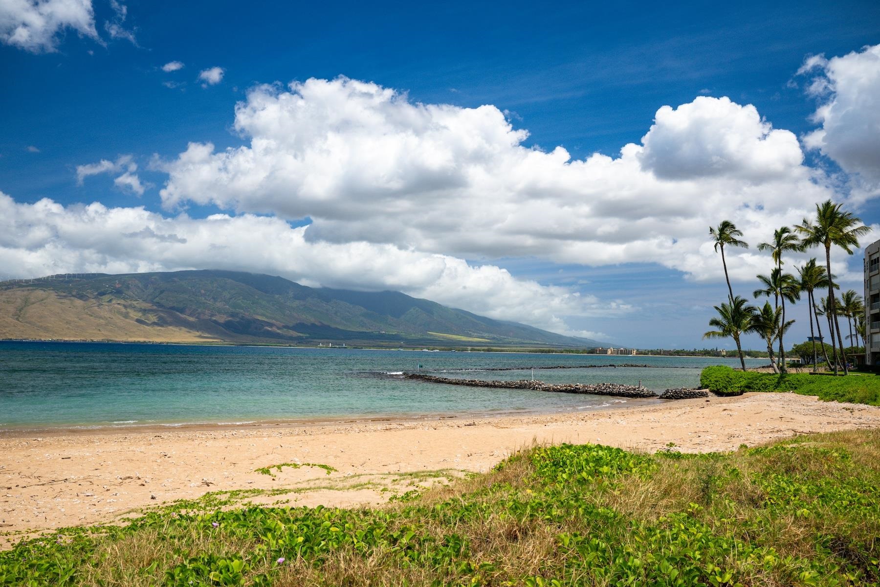 Koa Lagoon condo # 206, Kihei, Hawaii - photo 24 of 29