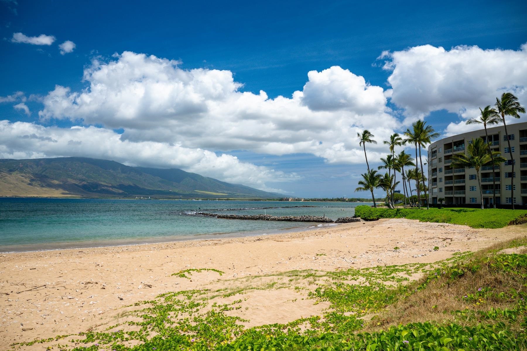 Koa Lagoon condo # 206, Kihei, Hawaii - photo 27 of 29