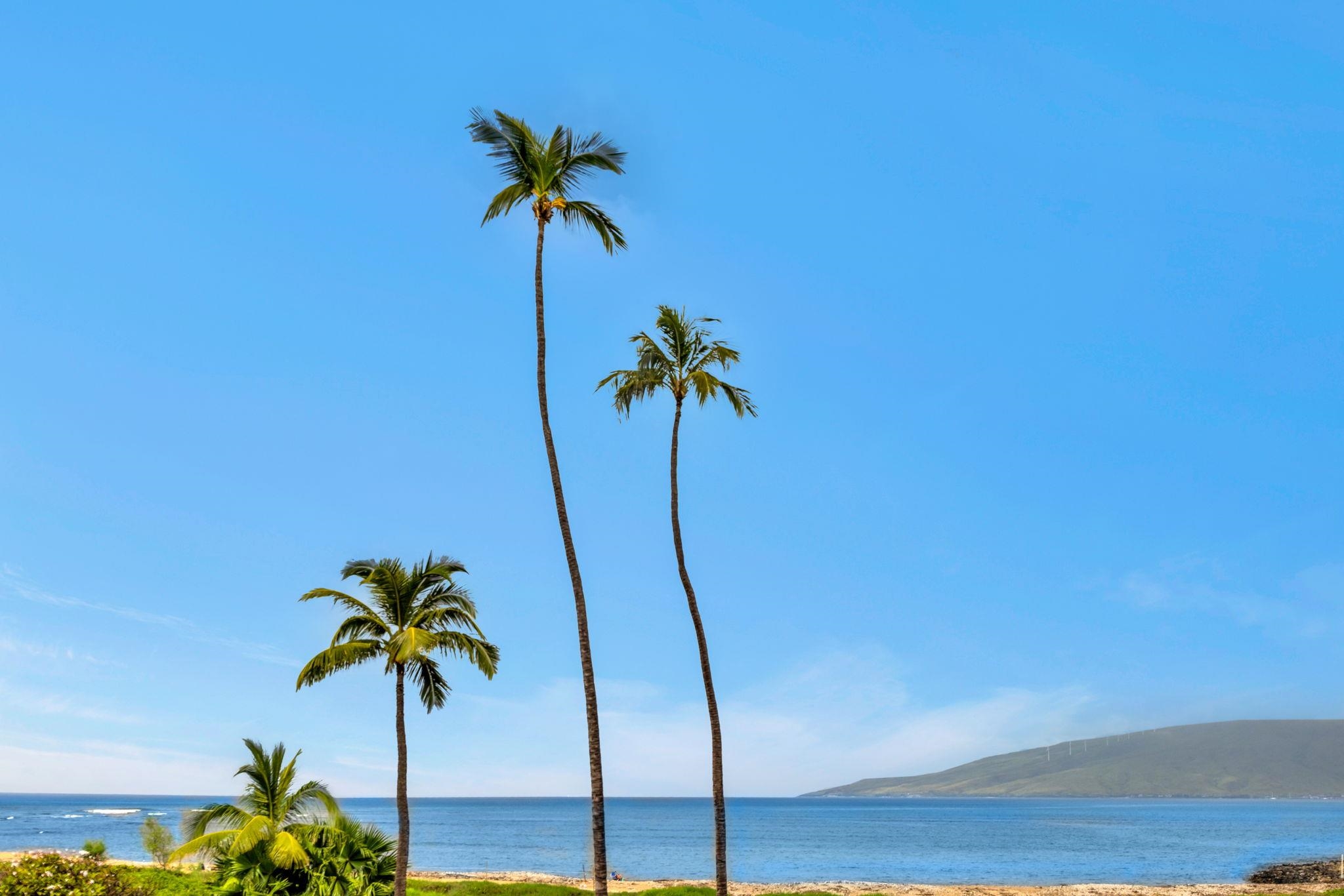 Koa Lagoon condo # 206, Kihei, Hawaii - photo 17 of 28