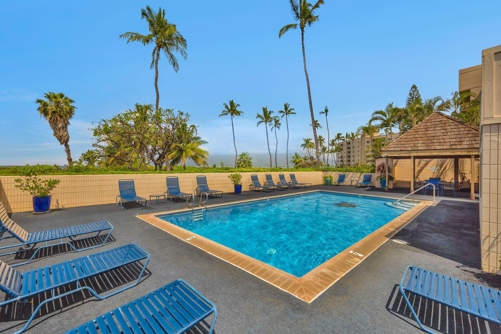 Koa Lagoon condo # 206, Kihei, Hawaii - photo 19 of 28